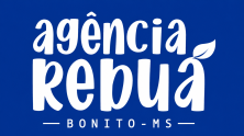 Logo rodapé